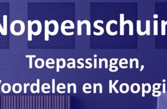 Noppenschuim